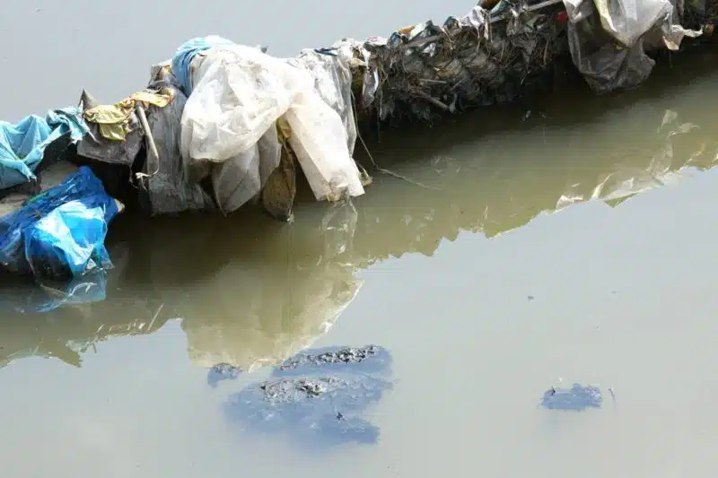 Zeekovlei_pollution