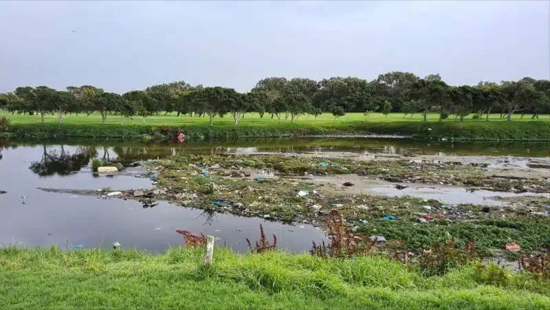 Microbial_Pollution