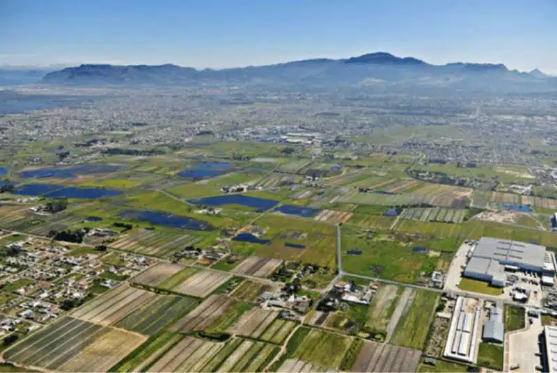 Philippi-Horticultural-Area-Cape-Town