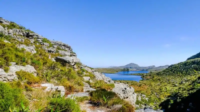 Table_Mountain_Catchment