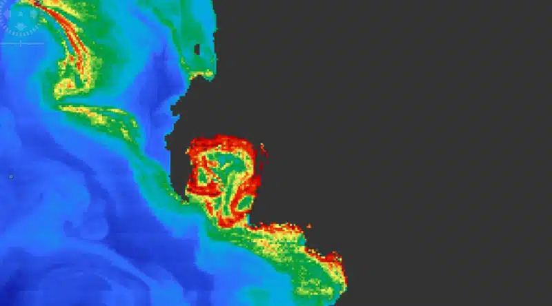 phytoplankton_algal-bloom-in-False-Bay-in-2018