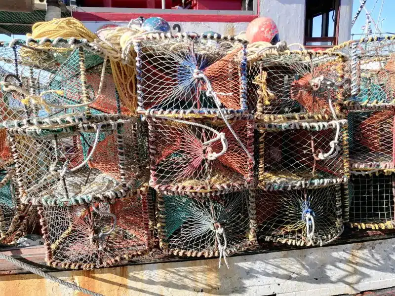 Kreef cages