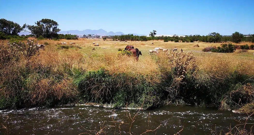 Kuils River Series: Part&nbsp;2